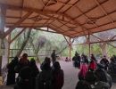 ciclo condor en batuco 02