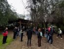 ciclo condor en batuco 07